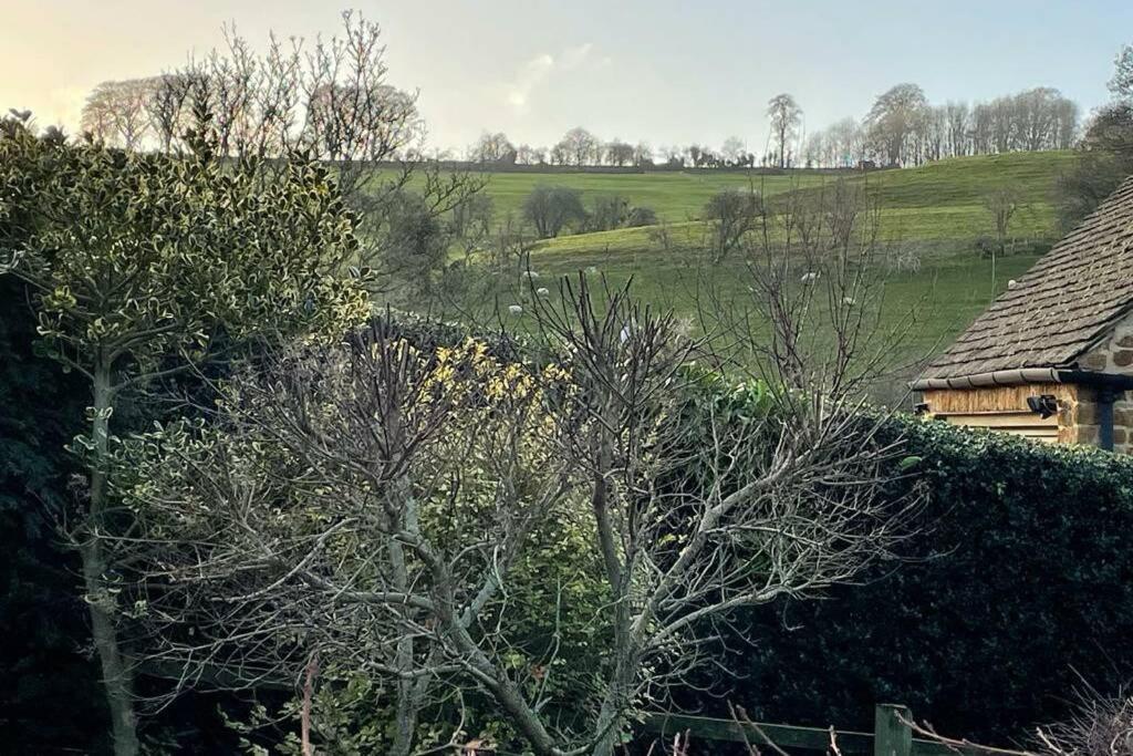 Cotswolds Cottage Ilmington With Wood Burning Stove & Bbq - Pet Friendly تْشيبينْغْ كامبدين المظهر الخارجي الصورة
